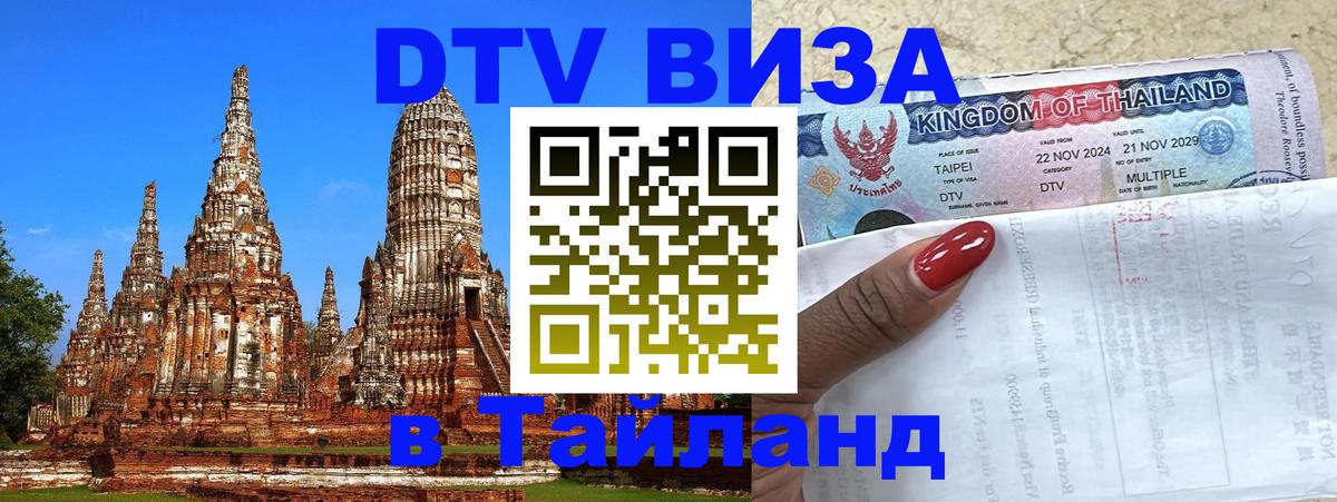 Оформление DTV визы под ключ: стоимость и тарифы, только загранпаспорт - 19.11.2025 